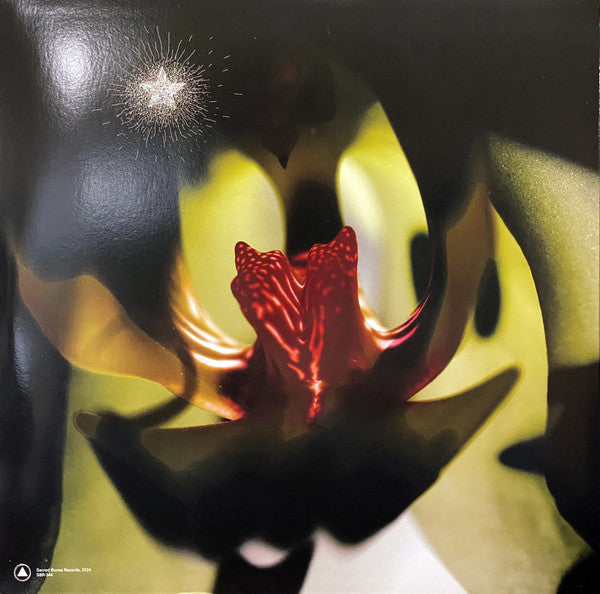 Chrysta Bell & David Lynch - Cellophane Memories (LP) - Velvet Music