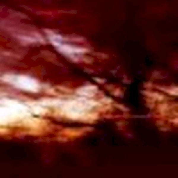 Colour Haze - Ewige blumenkraft (CD) - Velvet Music