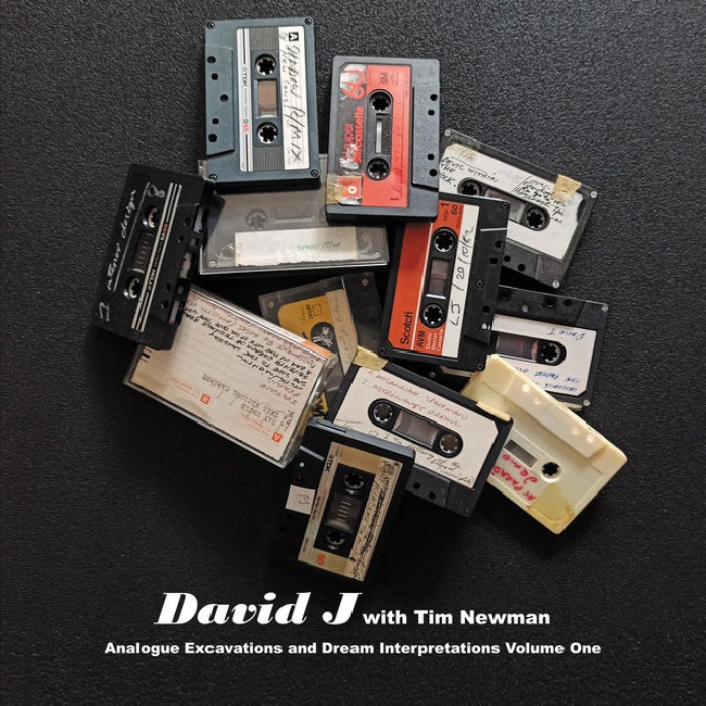 David J With Tim Newman - Analogue excavations & dream interpretations vol.1 (LP) - Velvet Music