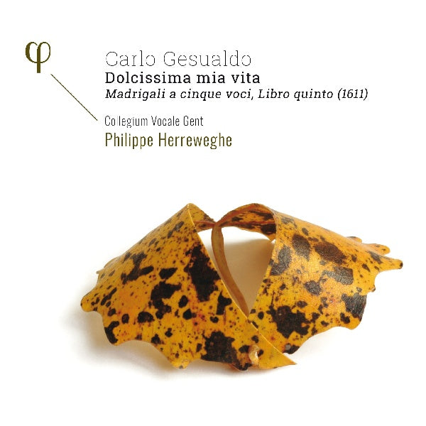 Collegium Vocale Gent - Gesualdo : madrigali a 5 voci, libro quinto (1611) (CD)