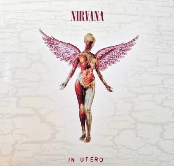 Nirvana - In utero - 20ème anniversaire (LP)