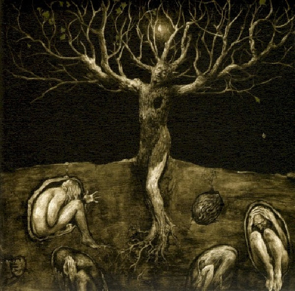 All Traps On Earth - A drop of light (CD) - Velvet Music