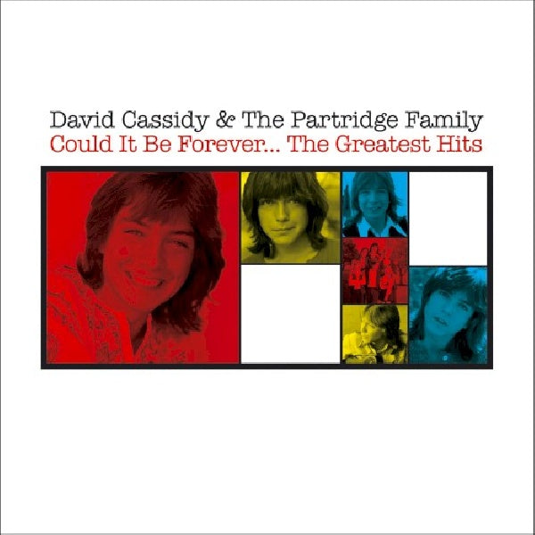 David Cassidy & The Partridge Family - Could it be forever - the greatest hits (CD)