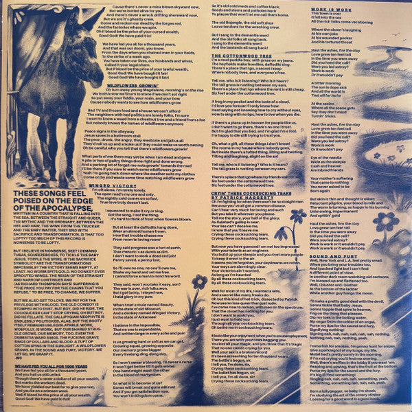 Willi Carlisle - Winged Victory (LP) - Velvet Music