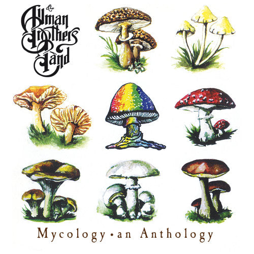The Allman Brothers Band - Mycology: an anthology (CD) - Velvet Music
