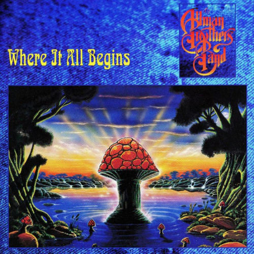 The Allman Brothers Band - Where it all begins (CD)