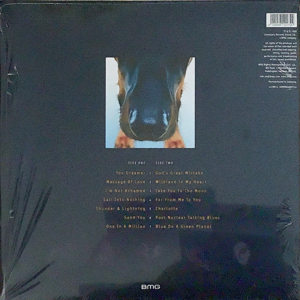 Big Country - Why The Long Face (LP)