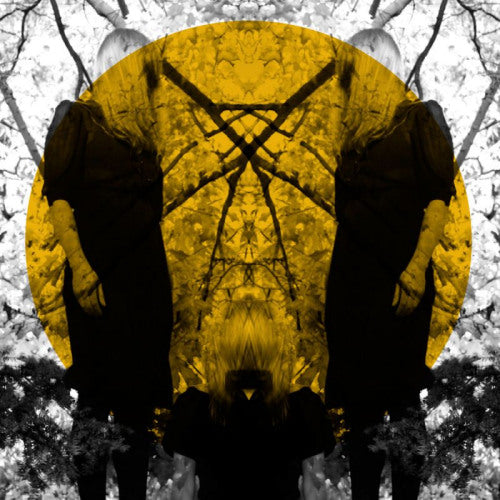 Austra - Feel it break (LP) - Velvet Music