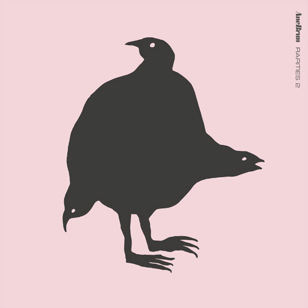 Ane Brun - Rarities 2 (LP) - Velvet Music
