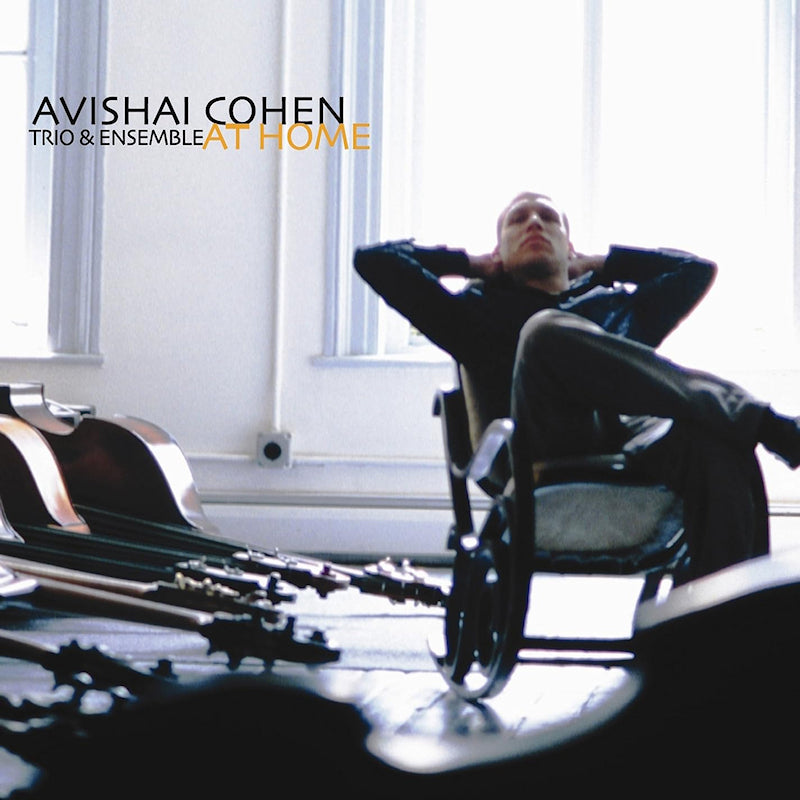 Avishai Cohen Trio & Avishai Cohen Ensemble - At Home (LP) - Velvet Music