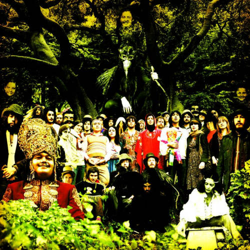 Devendra Banhart - Cripple crow (CD) - Velvet Music