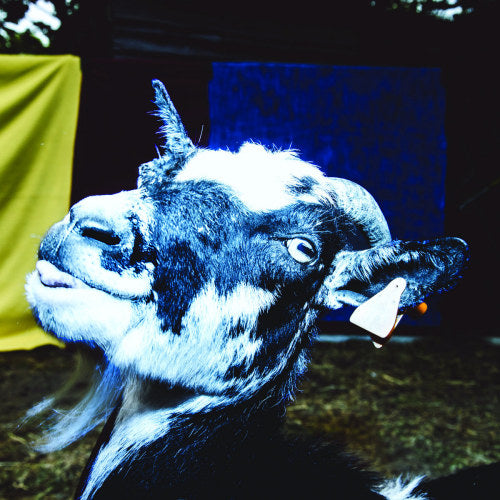 Barely Autumn - Day trip to the petting zoo (CD) - Velvet Music