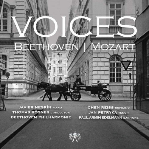 Javier Negrin & Beethoven Philharmonie - Voices: beethoven/mozart (CD)
