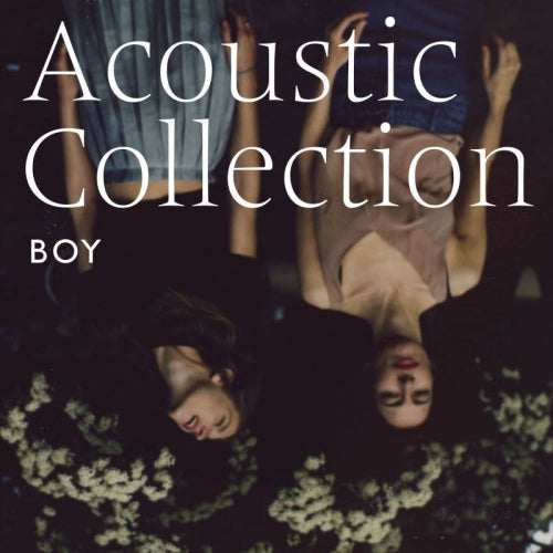 Boy - Acoustic collection (LP) - Velvet Music