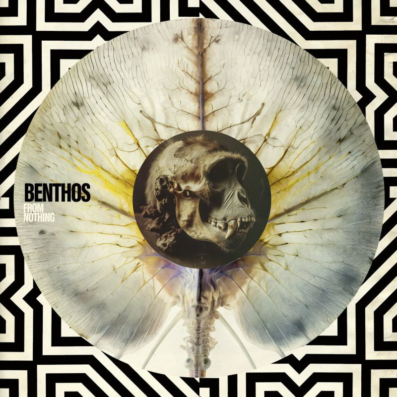 Benthos - From nothing (LP) - Velvet Music
