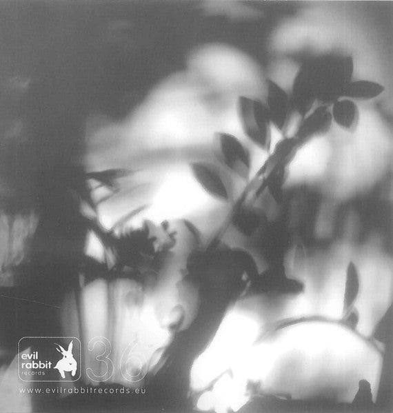George Dumitriu - Monk On Viola (tweedehands CD) - Velvet Music