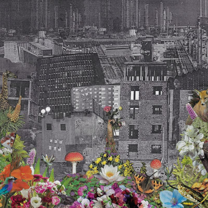 Bloody Head - Perpetual eden (LP) - Velvet Music