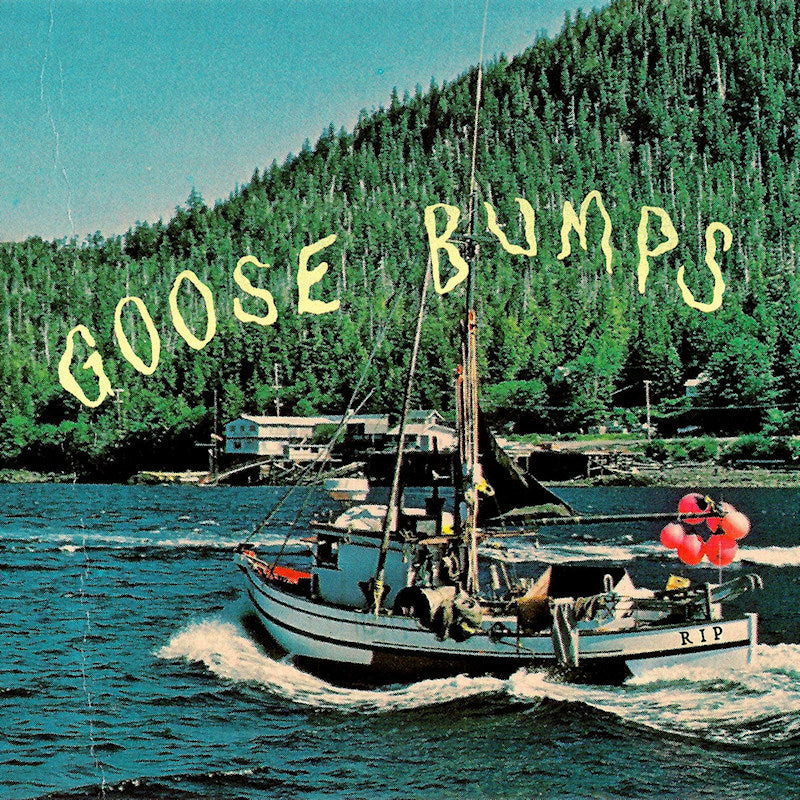 Boyscott - Goose bumps (CD)
