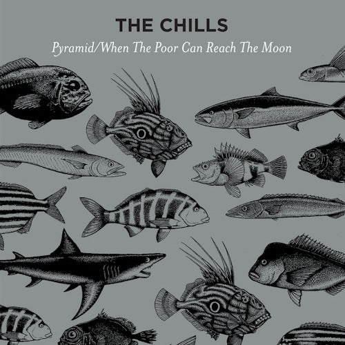 The Chills - Pyramid / when the poor can reach the moon (maxi 45 tours 30 cm)