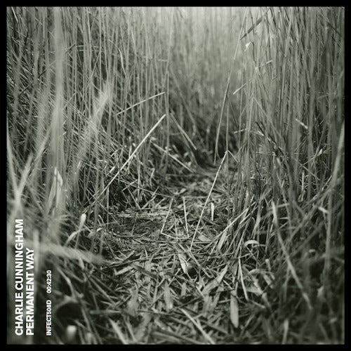 Charlie Cunningham - Permanent way (CD) - Velvet Music