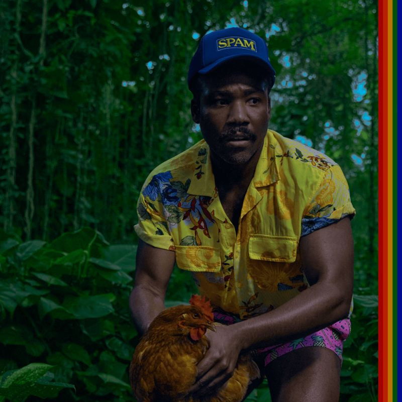 Childish Gambino - Bando stone and the new world (LP)