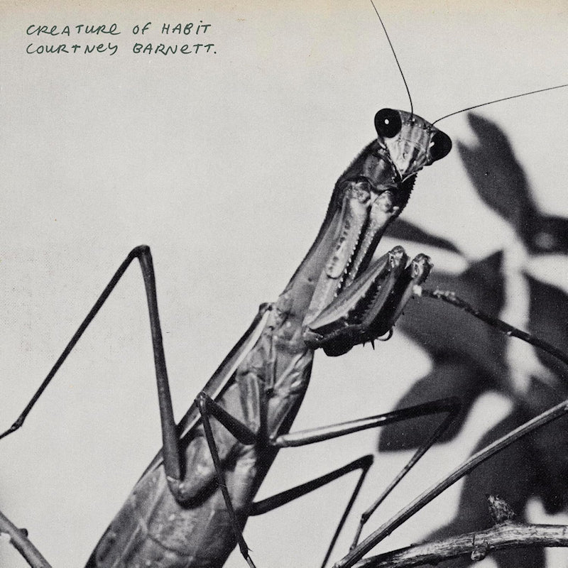 Courtney Barnett - Creature Of Habit (LP) - Velvet Music