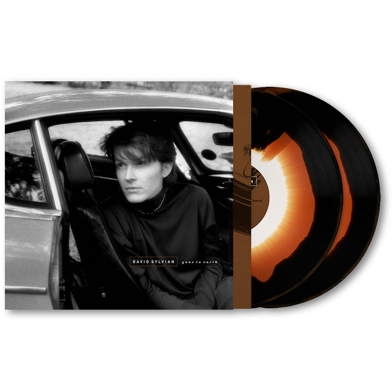 David Sylvian - Gone to earth (LP) - Velvet Music