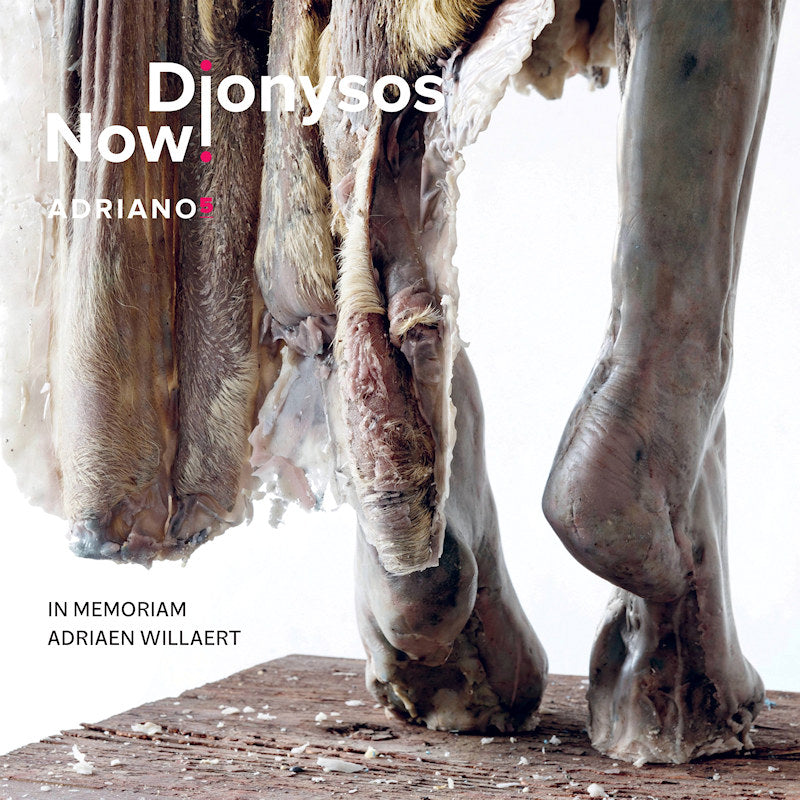 Dionysos Now! - Adriano 5 (CD) - Velvet Music