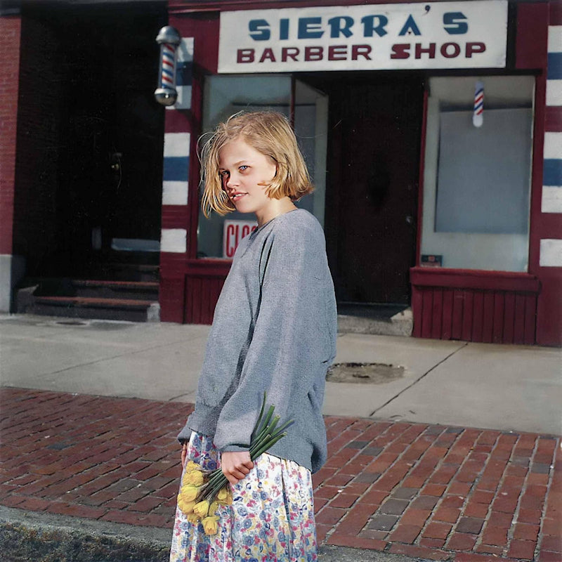 Drop Nineteens - Delaware (LP) - Velvet Music