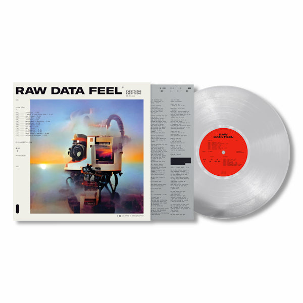 Everything Everything - Raw data feel (LP)