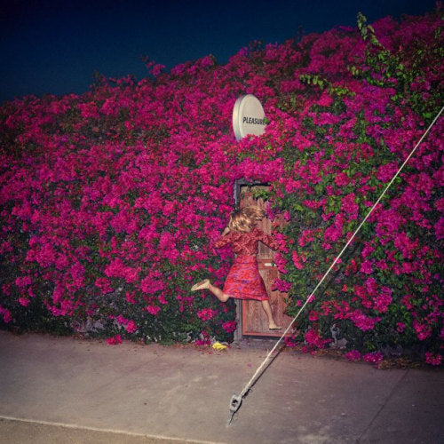 Feist - Pleasure (CD) - Velvet Music