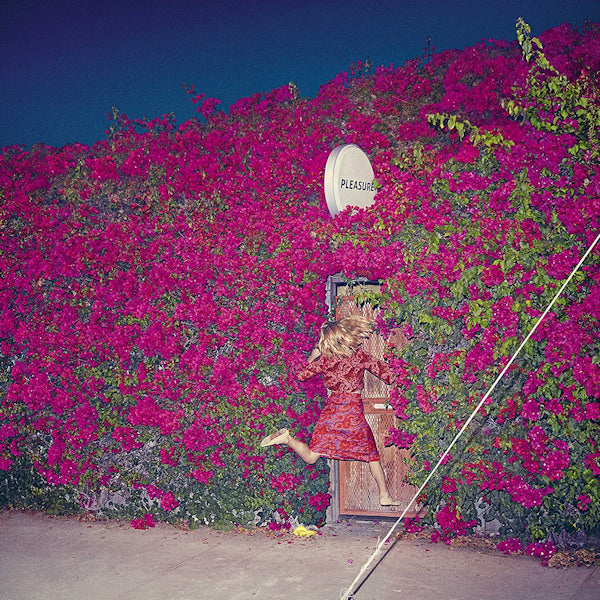 Feist - Pleasure (CD) - Velvet Music