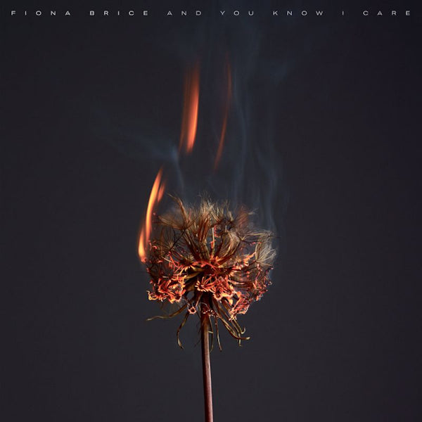 Fiona Brice - And you know i care (LP) - Velvet Music