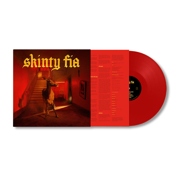 Fontaines D.C. - Skinty fia (LP) - Velvet Music