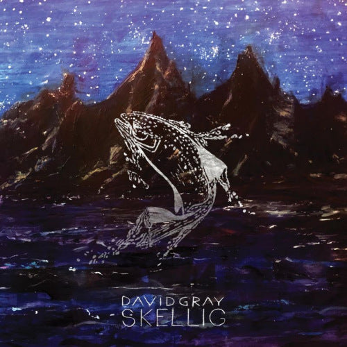David Gray - Skellig (CD)