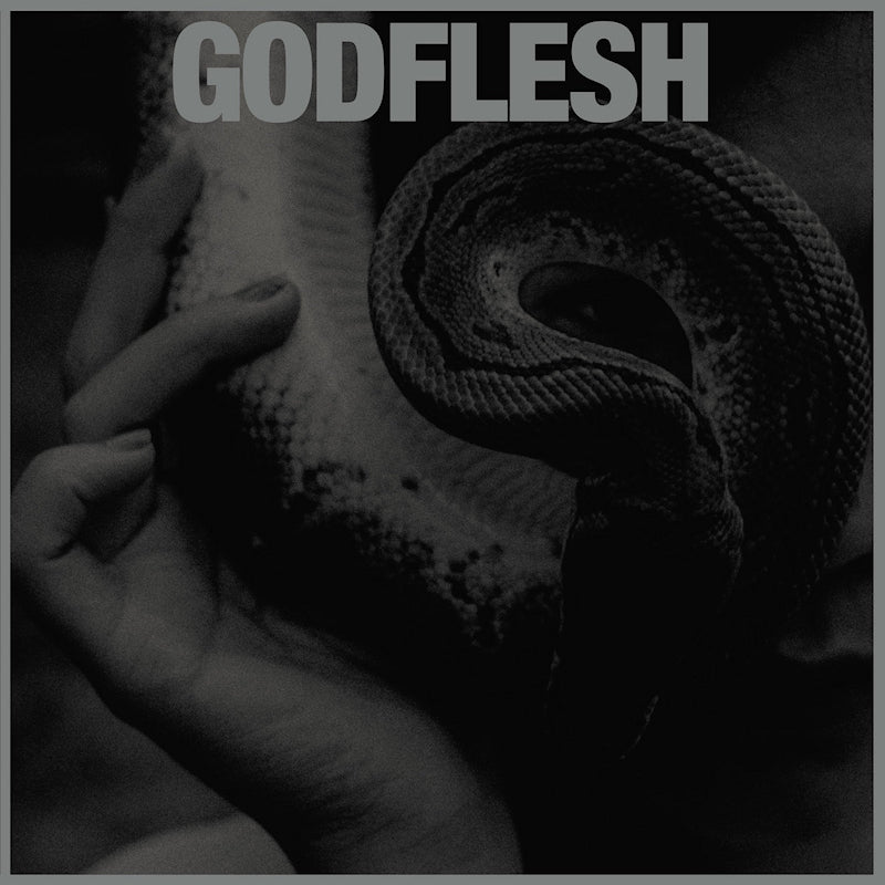 Godflesh - Purge (LP) - Velvet Music