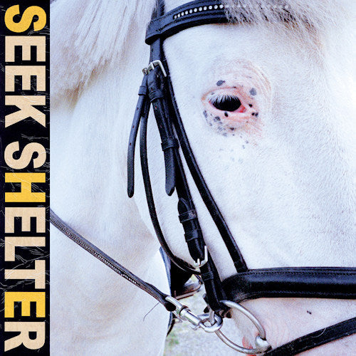 Iceage - Seek shelter (LP) - Velvet Music