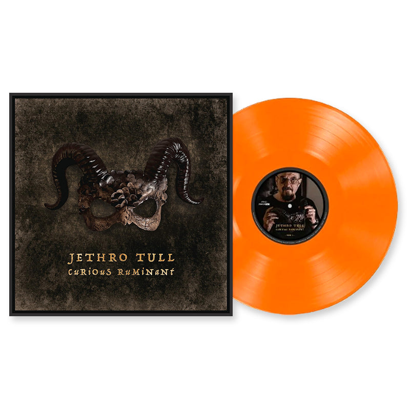 Jethro Tull - Curieux ruminant (LP)