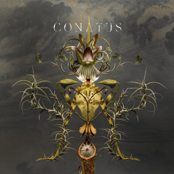 Joep Beving - Conatus (LP)