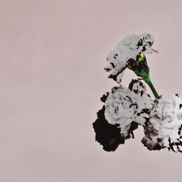 John Legend - Love in the future -special edition- (CD)