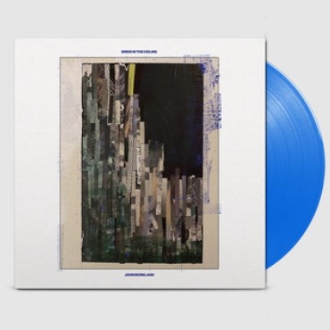 John Moreland - Birds in the ceiling (LP) - Velvet Music