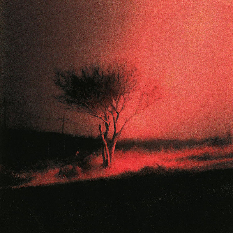 Joji - Piss in the wind (LP) - Velvet Music