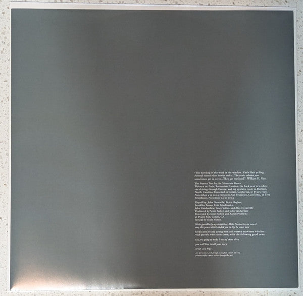 Mountain Goats, The - The Sunset Tree (LP) - Velvet Music