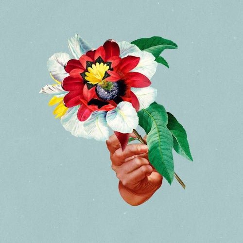 Maribou State - Kingdoms in colour (LP) - Velvet Music