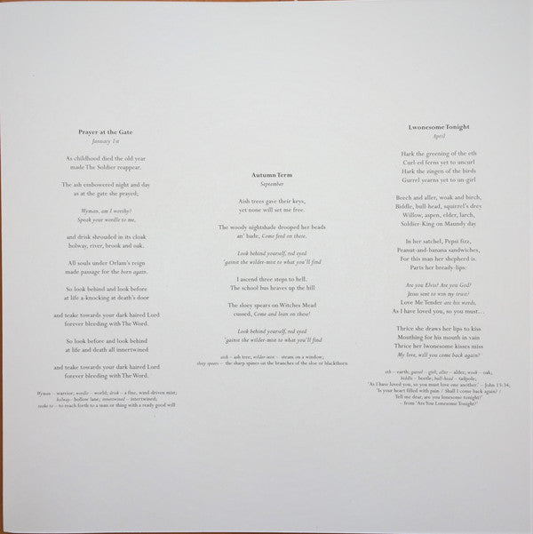 PJ Harvey - I inside the old year dying (LP) - Velvet Music