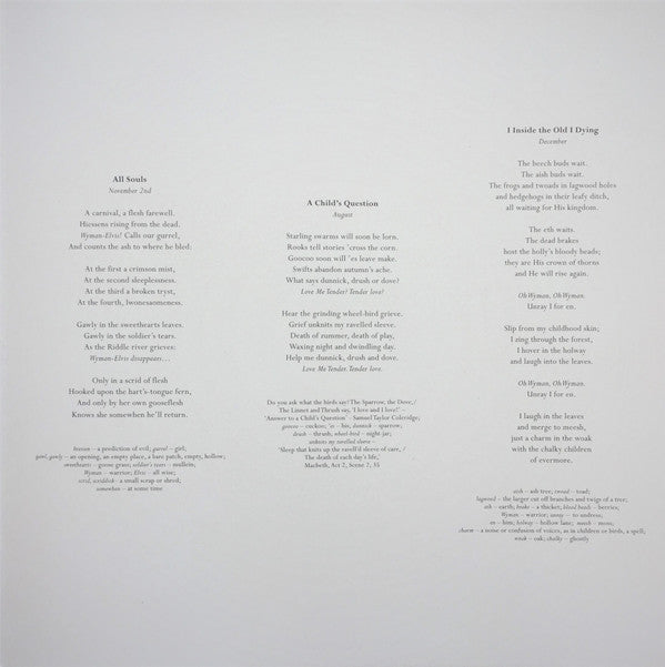 PJ Harvey - I inside the old year dying (LP) - Velvet Music