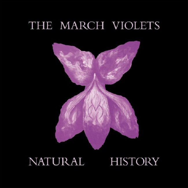 March Violets, The - Natural History (LP) - Velvet Music