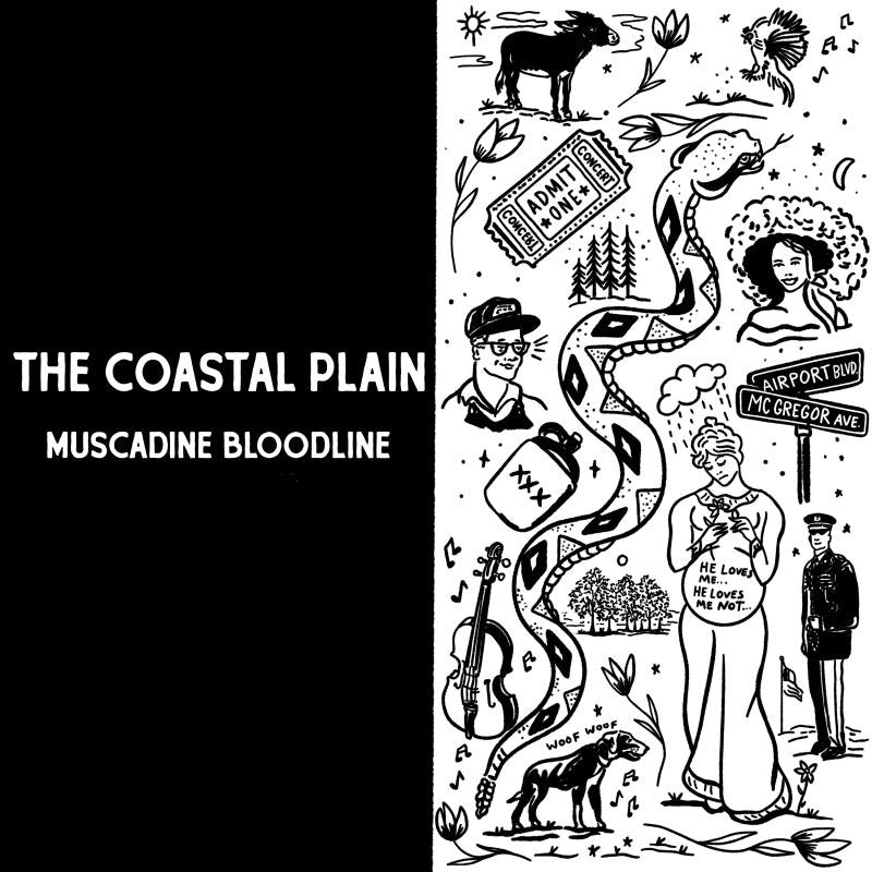 Muscadine Bloodline - The coastal plain (CD)