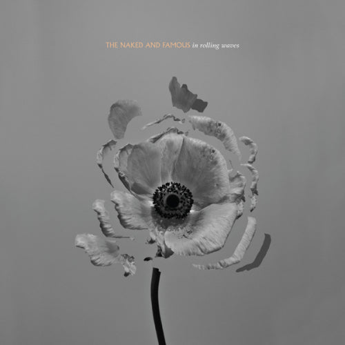 Naked And Famous - In rolling waves (CD)