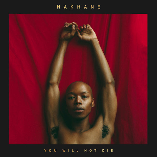 Nakhane - You won't die (LP)